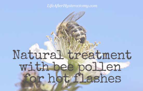 bee pollen for hot flashes