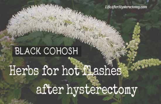 herbs for hot flashes