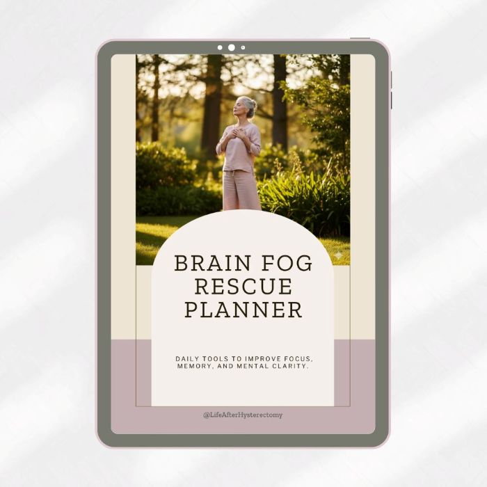 Brain fog planner mockup